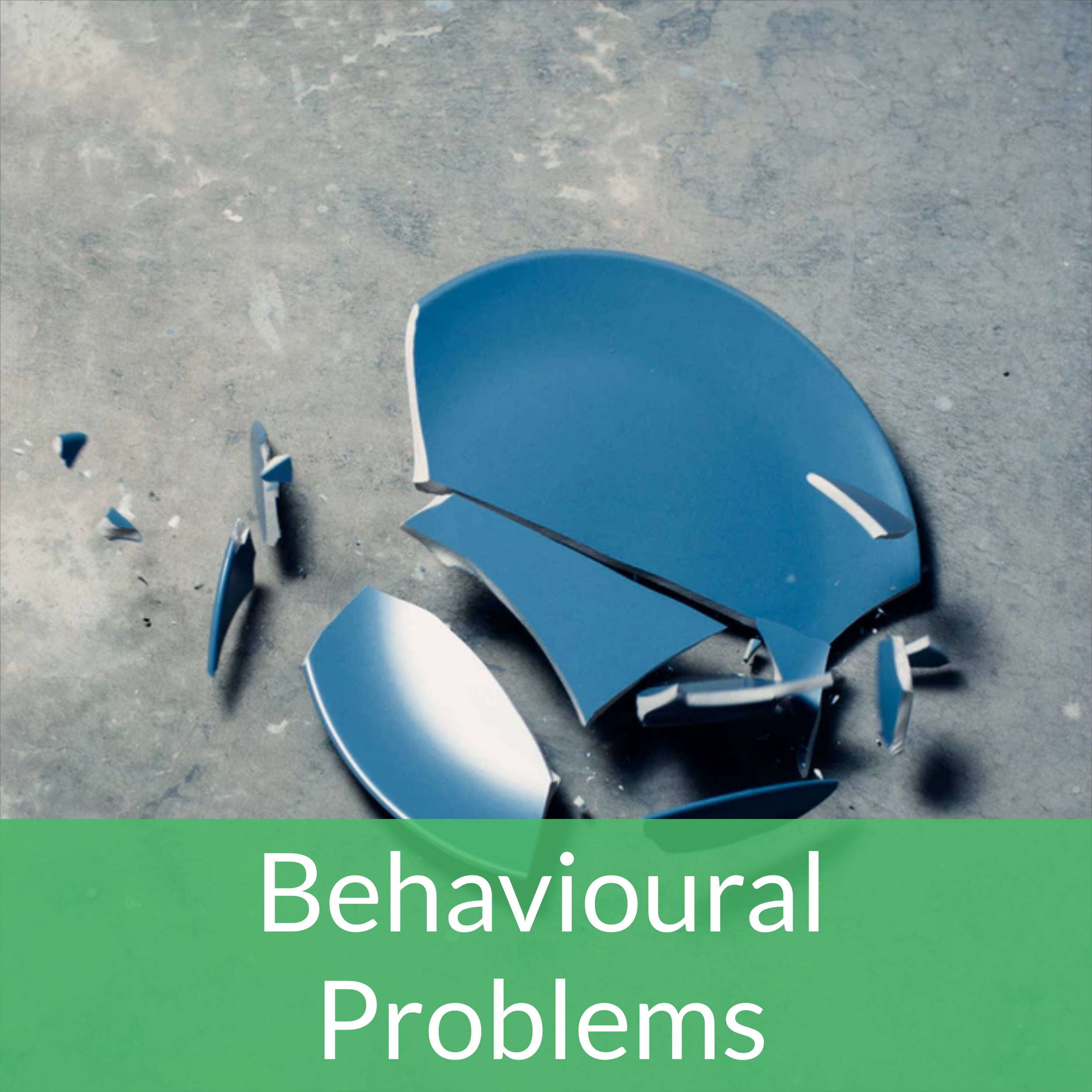 banner-behavioural1