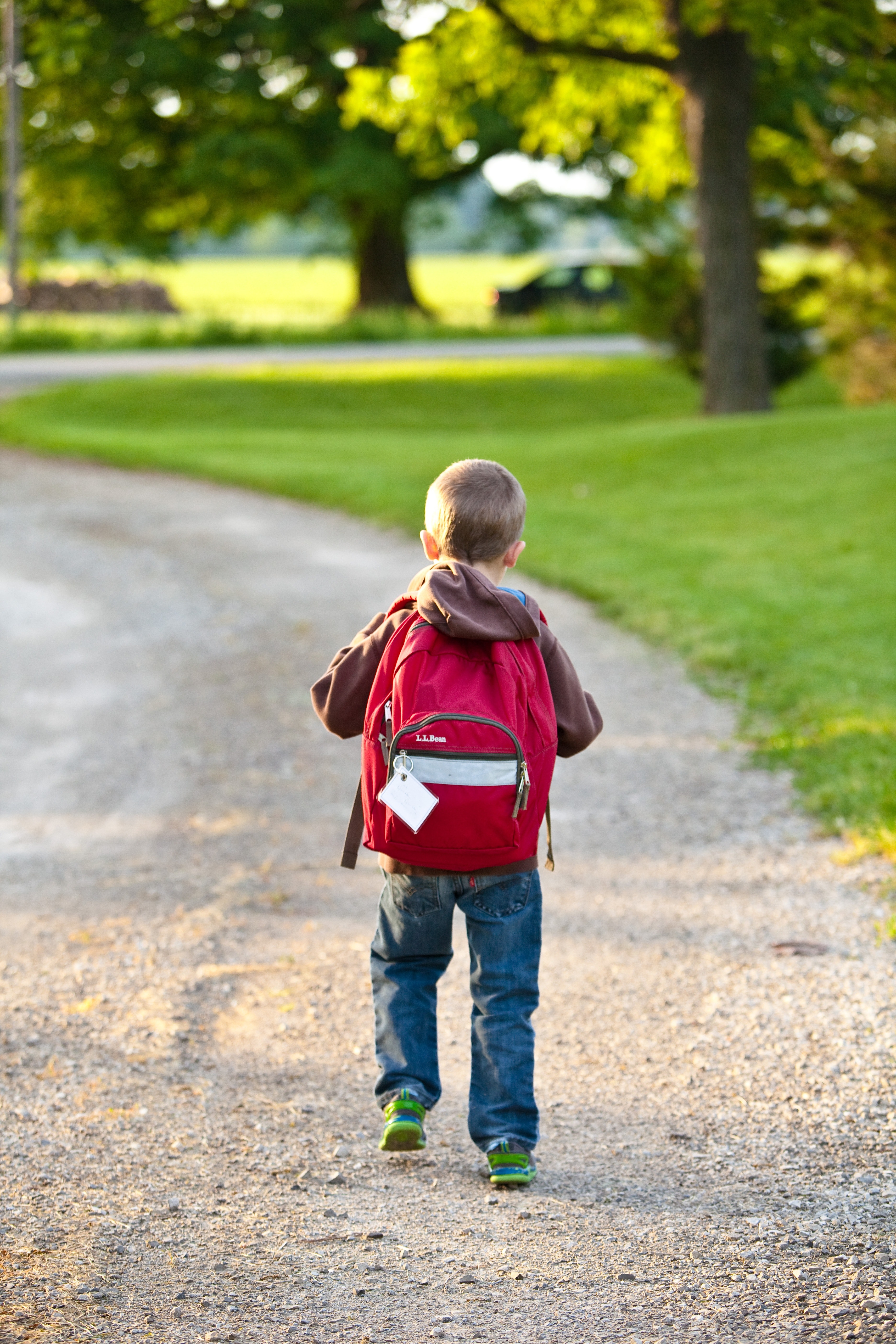 back-view-backpack-bag-207697