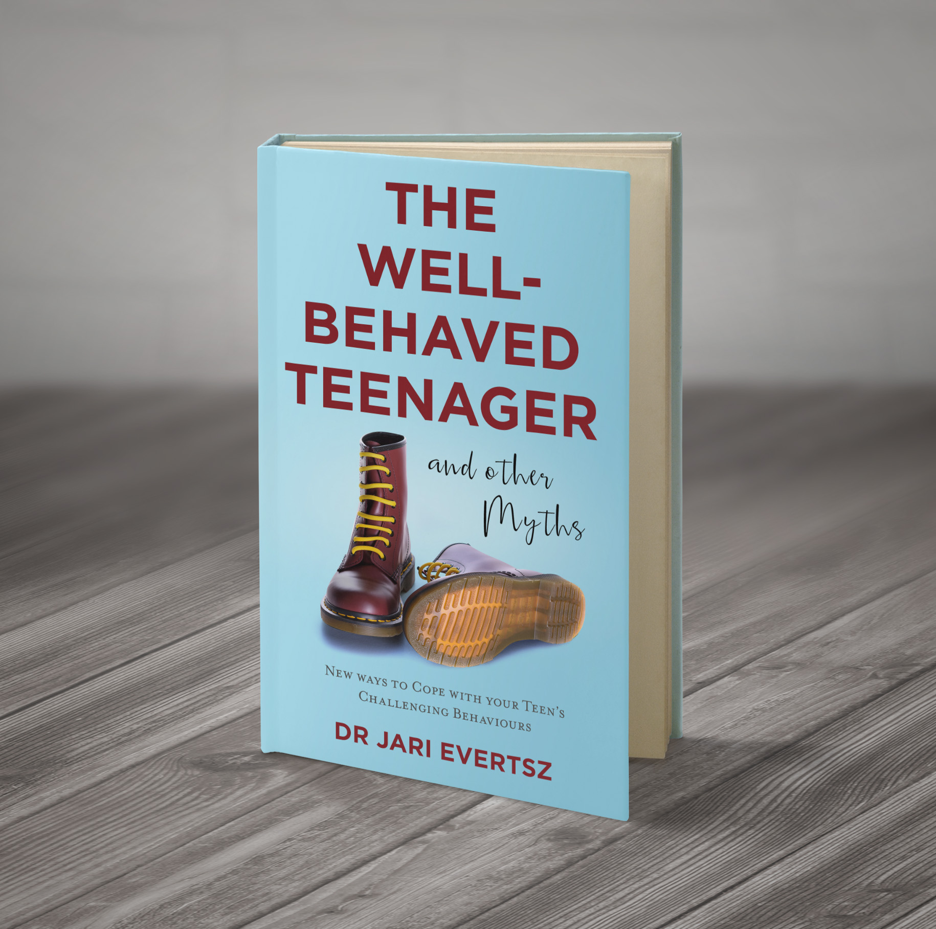 3D Ebook - The Well-Behaved Teenager (and other Myths) 09
